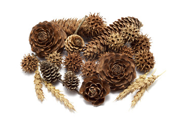 Various seeds