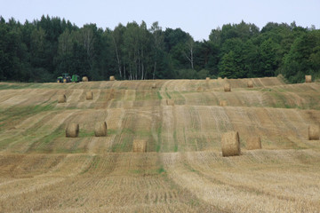Stubble field with round straw bales.