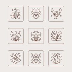 Vector Set of Thin Line Floral Design Elements for Logos