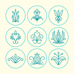 Vector Set of Thin Line Floral Design Elements for Logos