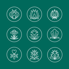 Vector Set of Thin Line Floral Design Elements for Logos