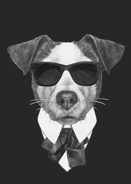 Hand drawn fashion Illustration of Jack Russell. Vector isolated elements.