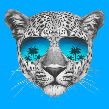 Hand drawn portrait of Leopard with mirror sunglasses. Vector isolated elements.