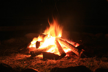 Campfire. - 85050868