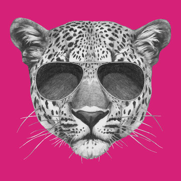 Hand drawn portrait of Leopard with sunglasses. Vector isolated elements.