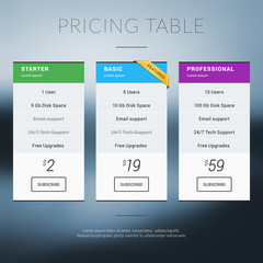 Vector Pricing Table in Flat Design Style for Websites and Applications