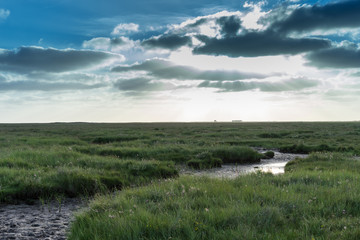 Wadden Sea