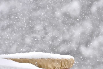 snow fallen background