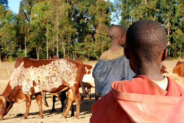 An African child watching another child herding cows