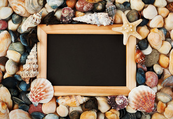 collection of starfish and seashells with tablet for text