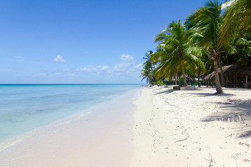 Fototapeta na wymiar natürlicher Strand mit Palmen in der dominikanischen Republik
