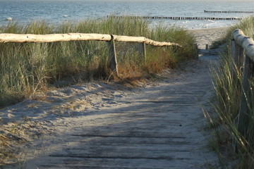 Bohlenweg zum Strand im Morgenlicht