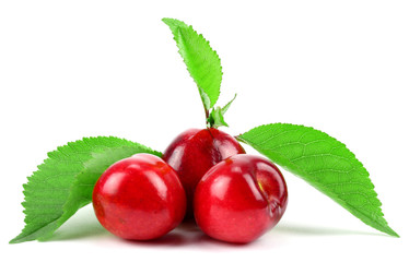 Ripe cherry in closeup.