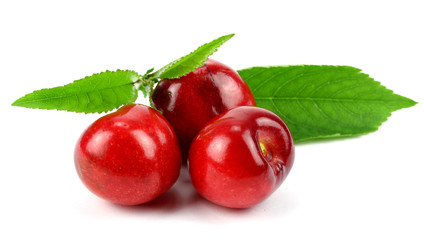 Ripe cherry in closeup