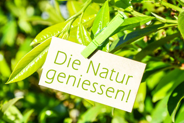 Natur geniessen