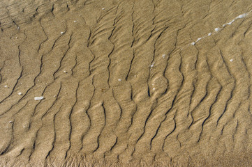 Ripple pattern in the sand at the beach