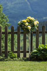 Fototapeta premium Gelbe Rose