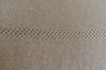 Bicycle tire tracks in wet sand