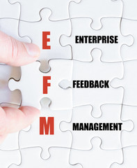 Last puzzle piece with Business Acronym EFM