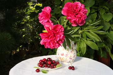 Purple peonies in vase with sweet cherry