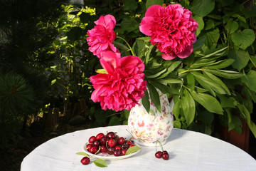 Purple peonies in vase with sweet cherry