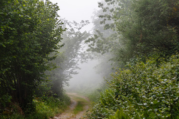 Niebla cubriendo el valle de Leitariegos, Asturias