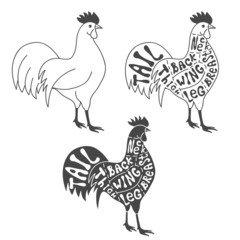 Naklejka premium Butcher cuts scheme of chicken