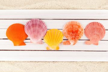 Clams.