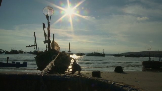 port de mui n&eacute;