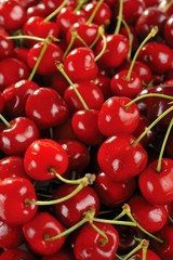 cherries group 