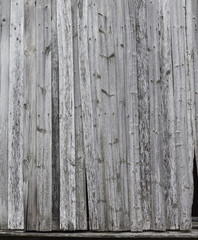 texture of the old gray wood