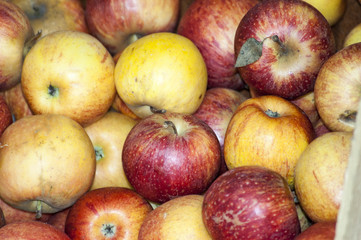 Red and yellow apples.