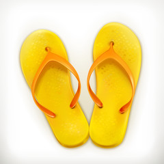 Flip flops, vector icon