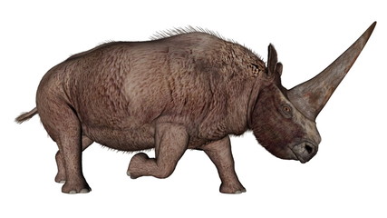 Naklejka premium Elasmotherium dinosaur rhinoceros - 3D render