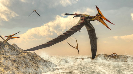 Pteranodon birds flying - 3D render © Elenarts