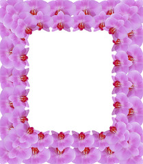 frame from pink petals of orchid