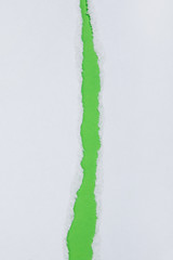 Torn paper on green background