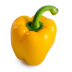 vegetable pepper isolated