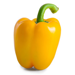 vegetable pepper isolated