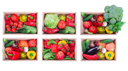 vegetables in boxes