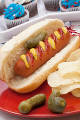 4th of July Party Table