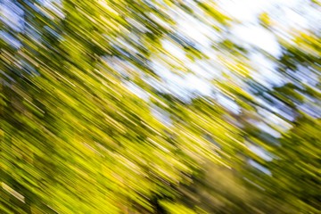 Blurry abstract background of green summer forest