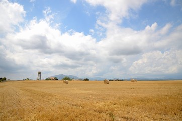 Fototapeta premium Campo con balas redondas de paja
