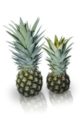 Fototapeta premium Close-up Fruit Two green pineapple Isolated 