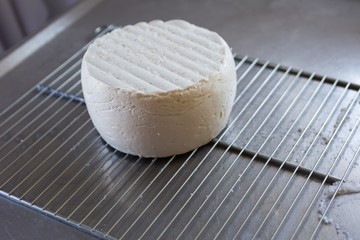 French goat cheese maturing in basement