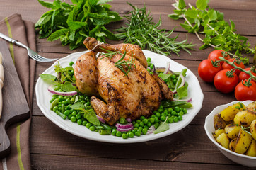 Grilled organic bio chicken