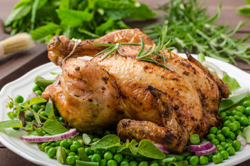 Grilled organic bio chicken