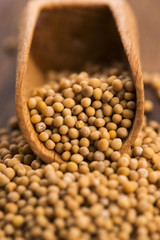 Spicy mustard seeds in a wooden background