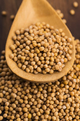 Spicy mustard seeds in a wooden background