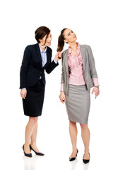 Angry businesswoman pulls her friends hair.